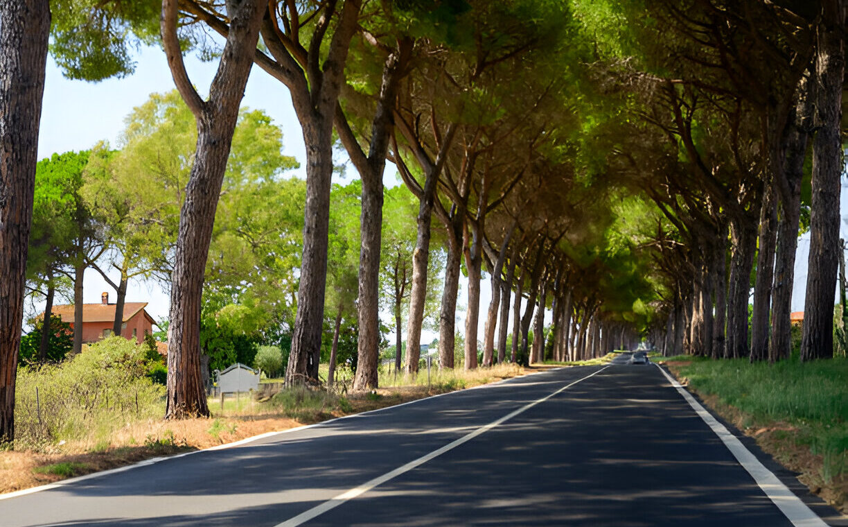 Rozbudowa drogi S7 na odcinku Moczydło-Miechów
